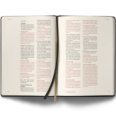 image_d32b180f-2d94-4e20-8c68-3105888153ce