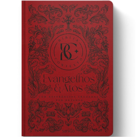 Segunda imagem do produto Bíblia Contexto | Evangelho e Atos | NVT | Capa Dura |Ornamentos