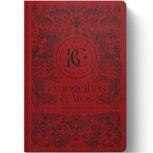 Segunda imagem do produto Bíblia Contexto | Evangelho e Atos | NVT | Capa Dura |Ornamentos