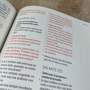 Bíblia Contexto | Salmos e Provérbios | NVT | Capa Dura | Davi e Salomão