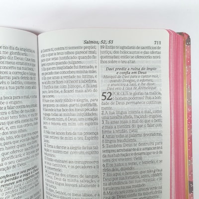 image_e80b40db-664a-4e54-9f8b-f2ceed37546a