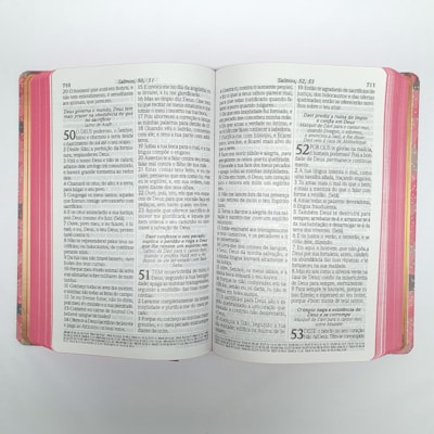 image_896e9fa8-1c04-404d-bffb-31e78dcdf1db