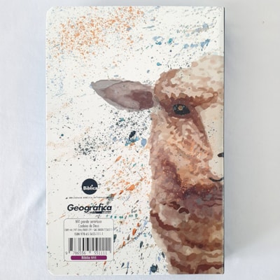 image_354cbd4a-909b-4f60-8acf-d13edb5c6d7f