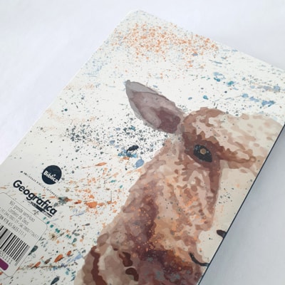 image_e1fd93e8-f5c2-44ea-94cc-18b4bb74e5c6