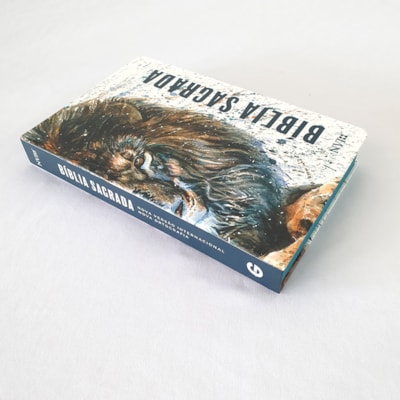 image_960f1981-328c-4cff-855f-97f9b2431505