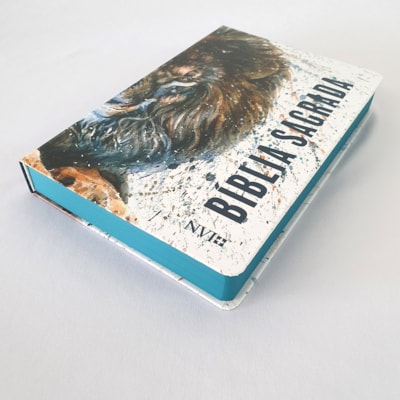 image_bc93914d-3198-40dc-95c9-81a06b68e05f