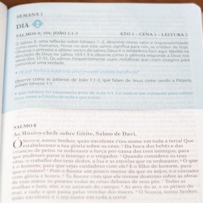 image_76ab697e-4516-46ae-bbfe-bf556616c8fa