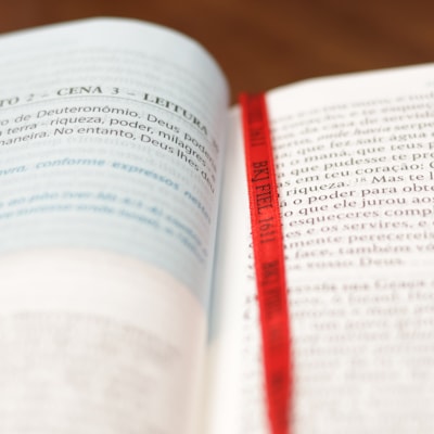 image_3dd5d6e3-e95c-41d6-9c7b-4c155e9c16d7