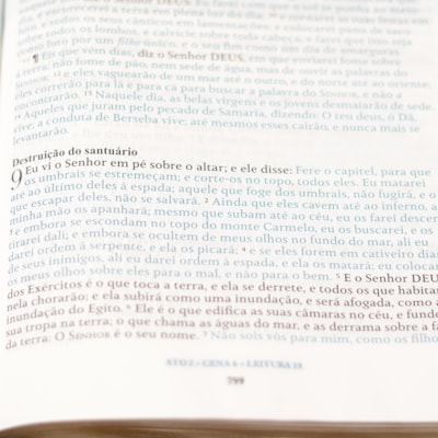 image_00238ec7-7b9e-4f47-924d-1efc3574302e
