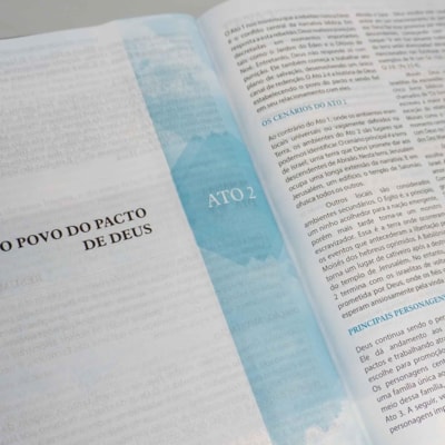 image_81221823-ad83-4f18-b427-f9af7a854a49