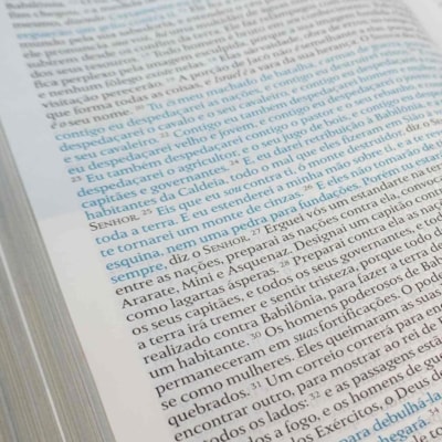 image_09c65523-6f69-4884-b049-569df5a0078c