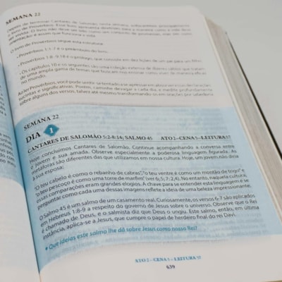 image_e4e30dca-6c5b-40ee-8453-fba046b3e42d