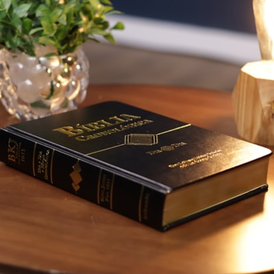 image_42488040-c4b3-4d1c-95fb-e309b7d69b81