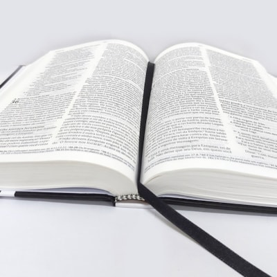 image_15474c27-7170-469a-8a94-9d609fbb859b