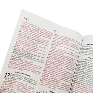 Bíblia Cruz | Letra Normal | AEC | Capa PU Vermelho Luxo