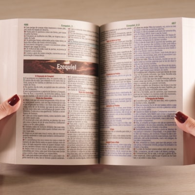 image_6d380d21-8509-4bd4-a322-c0c7ad6c2aa6