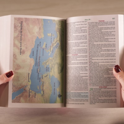 image_8d681755-0175-40c2-a781-a55c815c740e