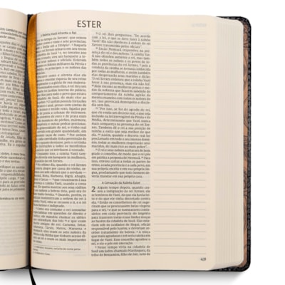 image_b83c0404-78db-4d7d-a836-a4f6240bcbe6