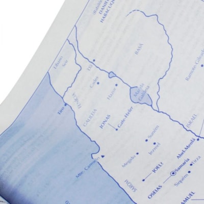 image_d06a64d0-1748-4b99-8aaa-1c729f980e4c