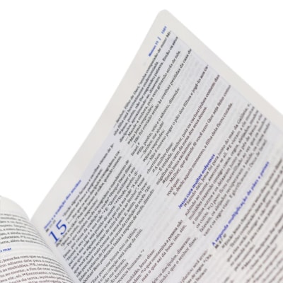 image_7e9da755-d92d-4d9c-a86d-28a0fa65225b