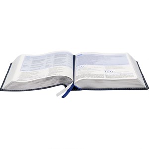 Bíblia da Escola Bíblica | NAA | Letra Normal | Capa Luxo Azul