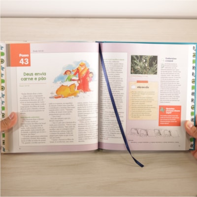 image_43a01f1d-9bd4-4700-8d11-98879599d397