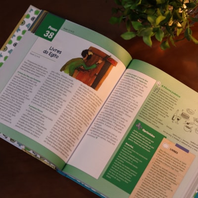 image_a7a6cb4a-b803-485a-8dcd-39d67fe8d600