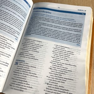 Bíblia da Família | ARA | Letra Normal | Capa Luxo Branco e Marrom