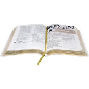 Bíblia da Família | Letra Normal | ARA | Capa Branca Luxo