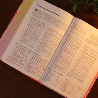 image_7dcd6ed5-d2d7-4508-99c3-b3cfb5938fe7