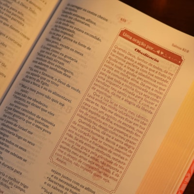 image_5317d70c-9d81-4d4c-a45d-51341e2d6267