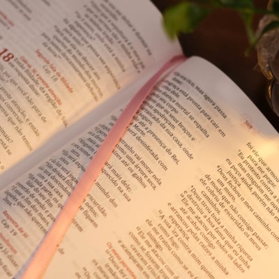 image_0a927605-374f-4873-a239-ad8d72b92780