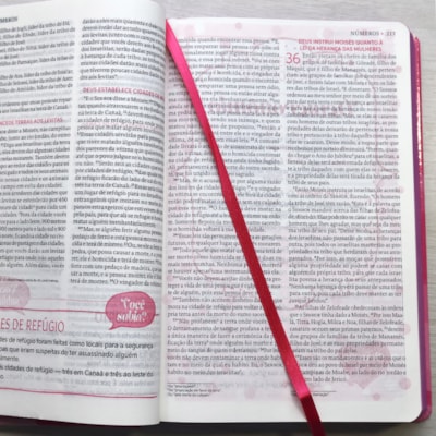 image_de329e57-ee5a-49bb-a45a-b983bedddfab