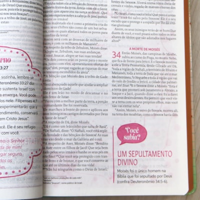 image_540ea7d8-1fd9-4ab1-8804-ec67c8b52c8b