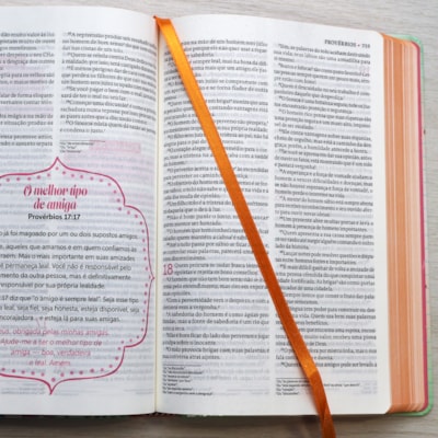 image_508f17e9-2e75-4f7b-a464-fe0e73d9b0a6