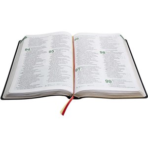 Bíblia da Liderança Cristã | Letra Normal | ARA | Capa Verde e Marrom Luxo