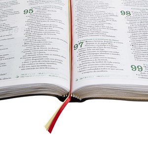 Bíblia da Liderança Cristã | Letra Normal | ARA | Capa Verde e Marrom Luxo