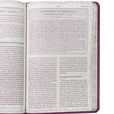 image_fb7d214c-c85e-46d3-83db-ac42c9c793cc