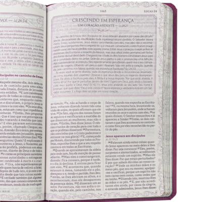 image_1b20892f-fd19-4781-a0db-0e284335e4c3