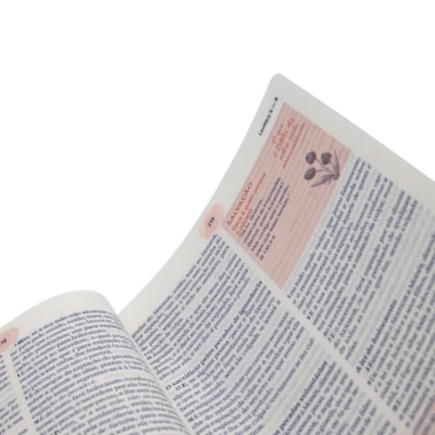 image_efb0f0ef-d9b3-474f-9710-ee7b6cee14d3