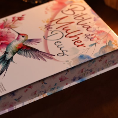 image_3481829f-c33e-4db7-81f9-9563211c6b0f