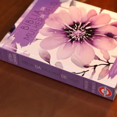 image_a480cf0e-a576-4e05-8934-b002321335db