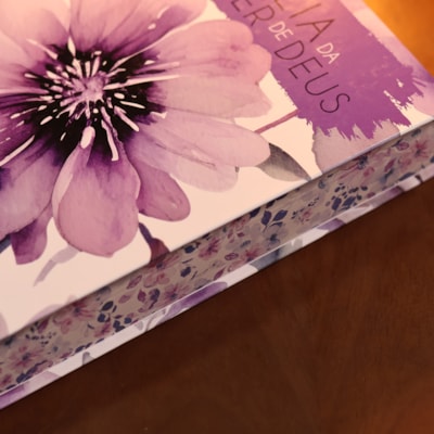 image_074967c0-e34e-4e06-a3a2-699fe4127cae