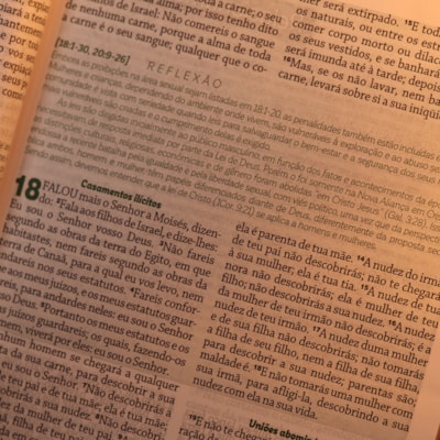 image_e8ffb157-52cd-4bc5-a622-f9493d6d3971