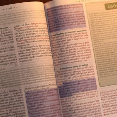 image_975f74e3-bfe4-4a1d-8b2f-a0ff5deb1644