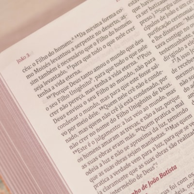 image_cdd5d80c-d072-4587-a1a5-14219f348055