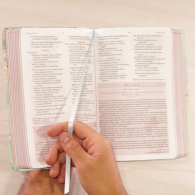 image_995a88fb-e8fa-4ace-9c5b-5fa5515a19d8