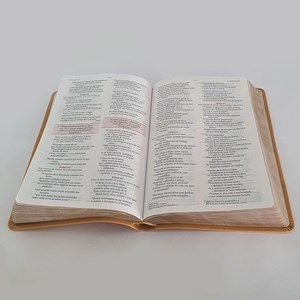 Bíblia da Mulher de Fé | NVI | Capa Dourada