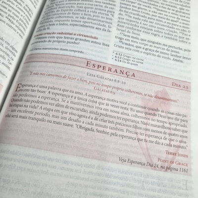 image_5bbdab3d-4144-4b62-949a-9323e831e359