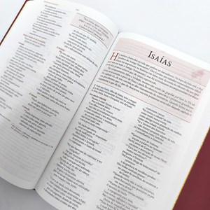 Bíblia da Mulher de Fé | NVI | Comentários Sheila Walsh | Capa Luxo Vinho